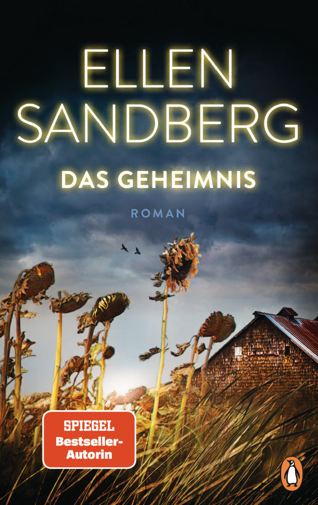 Das Geheimnis (Ellen Sandberg)
