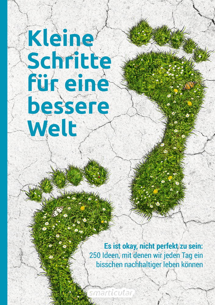 Kleine Schritte für eine bessere Welt (Smarticular Verlag)