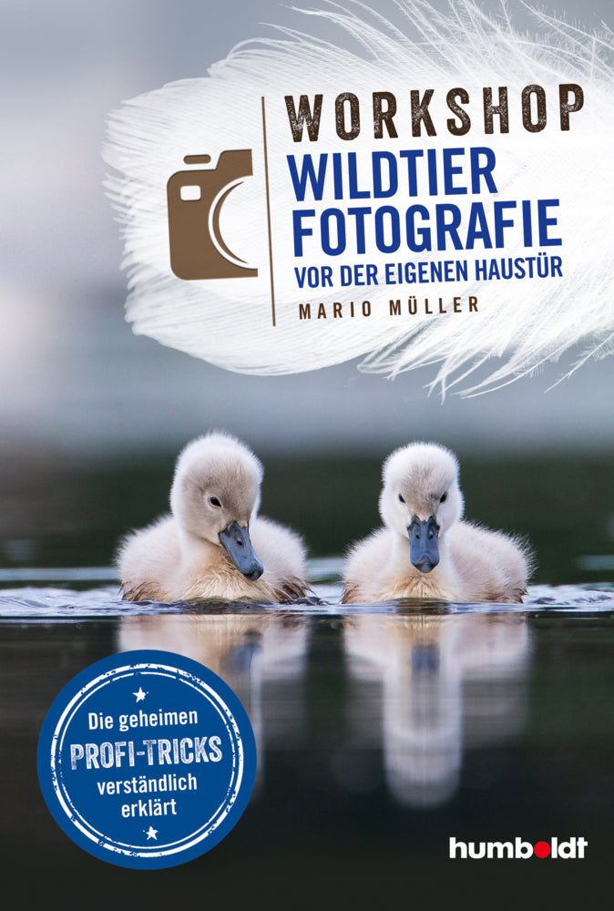 Workshop Wildtierfotografie vor der eigenen Haustür (Mario Müller)