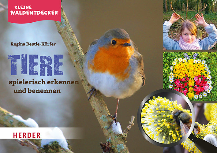 Kleine Waldentdecker: Tiere (Regina Bestle-Körfer)