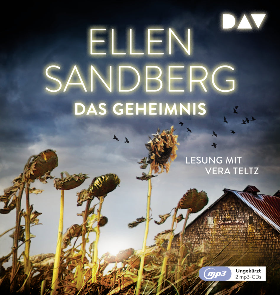 Das Geheimnis, 2 Audio-CD, 2 MP3 (Ellen Sandberg)