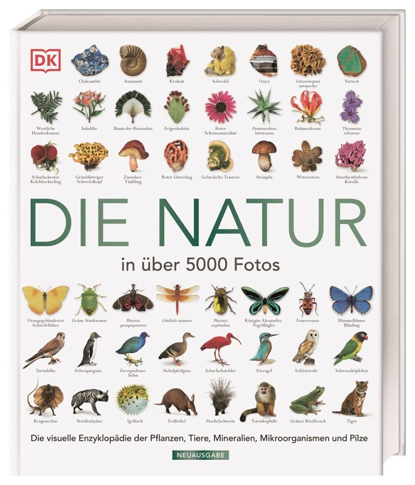 Die Natur in über 5000 Fotos (Dk Verlag)