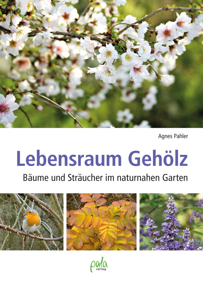 Lebensraum Gehölz (Agnes Pahler)