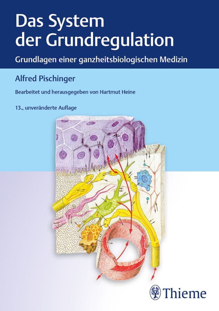 Das System der Grundregulation (Alfred Pischinger)