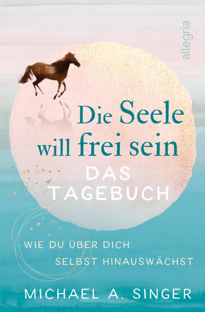 Die Seele will frei sein - Das Tagebuch (Michael A. Singer)