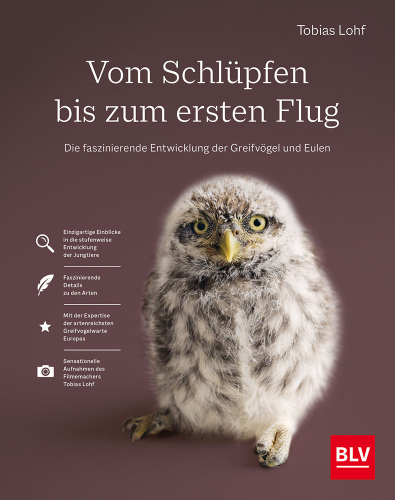 Vom Schlüpfen bis zum ersten Flug (Tobias Lohf)