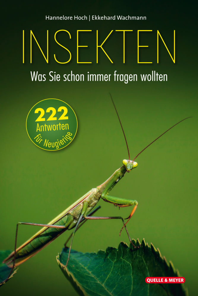 Insekten - Was Sie schon immer fragen wollten (Hannelore Hoch)