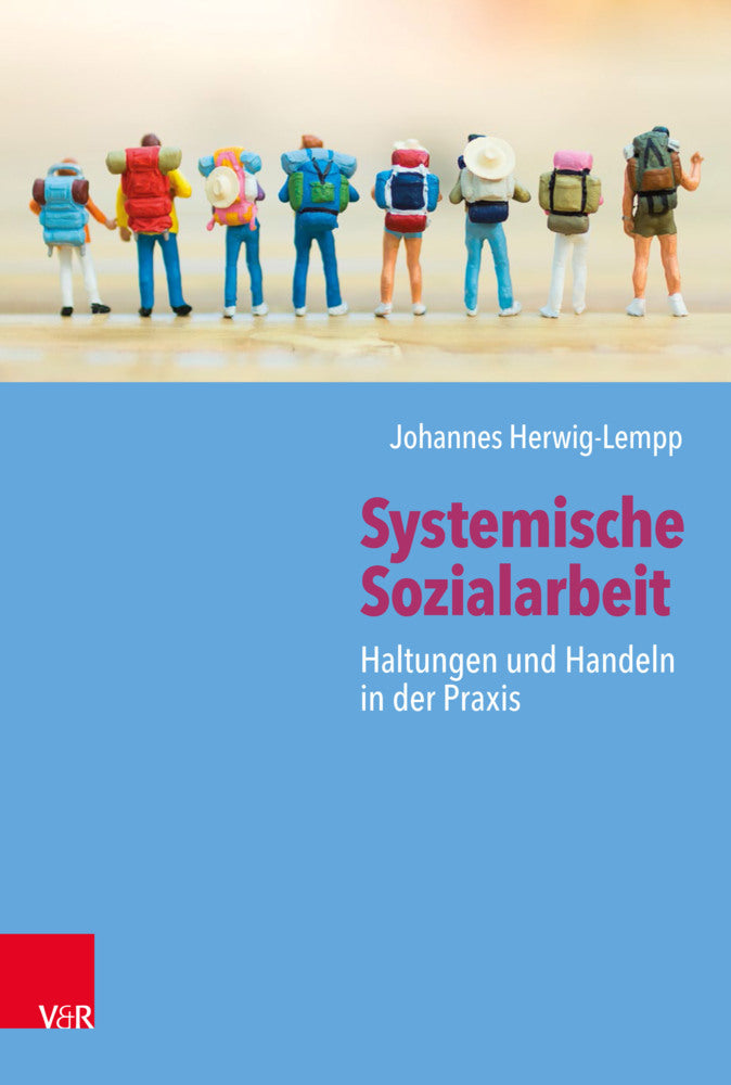 Systemische Sozialarbeit (Johannes Herwig-Lempp)