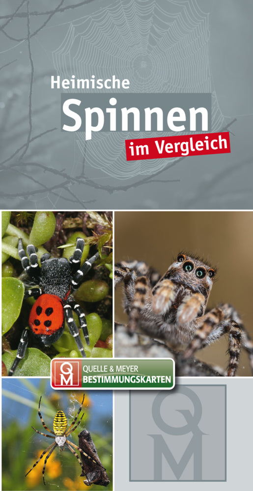 Heimische Spinnen (Quelle & Meyer Verlag)