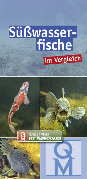 Süßwasserfische (Quelle & Meyer Verlag)