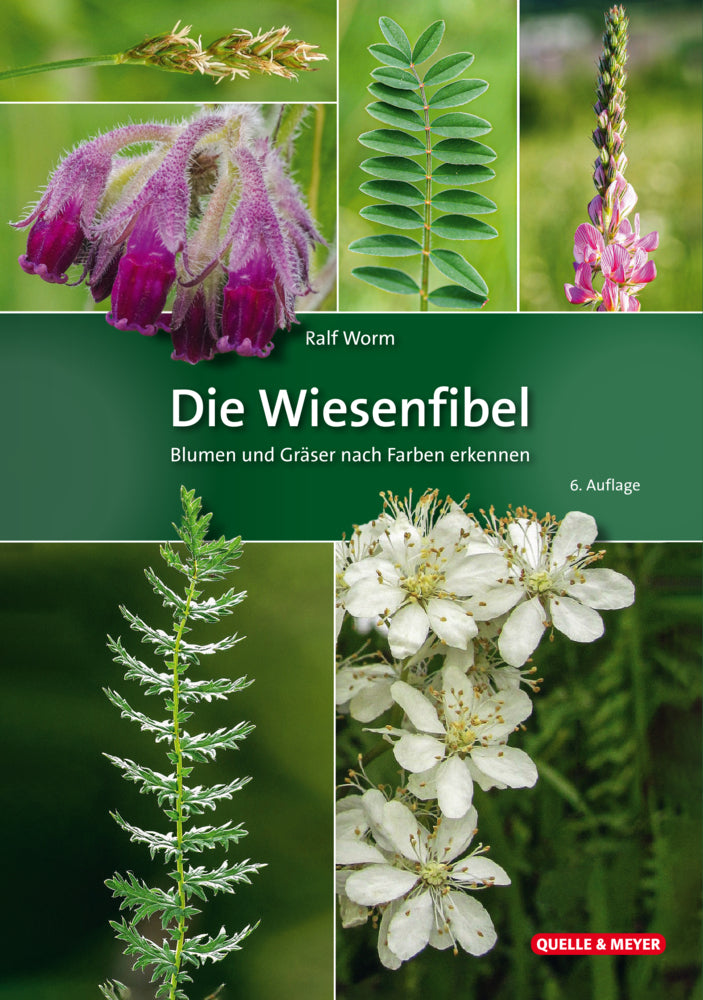 Die Wiesenfibel (Ralf Worm)