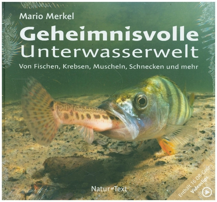 Geheimnisvolle Unterwasserwelt (Mario Merkel)