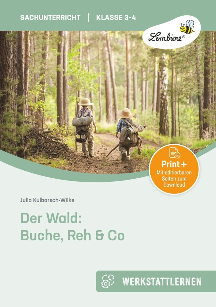 Der Wald: Buche, Reh & Co (Julia Kulbarsch-Wilke)