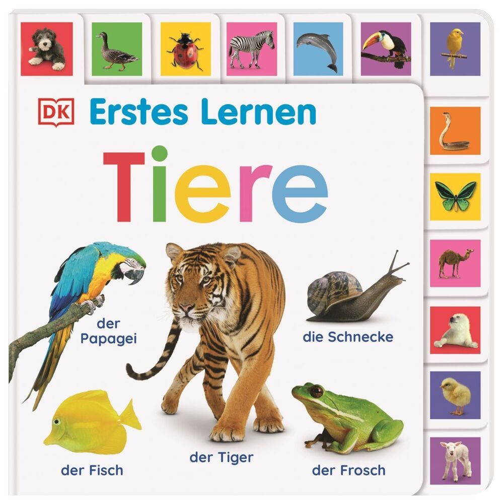 Erstes Lernen. Tiere (Dk Erstes Lernen)