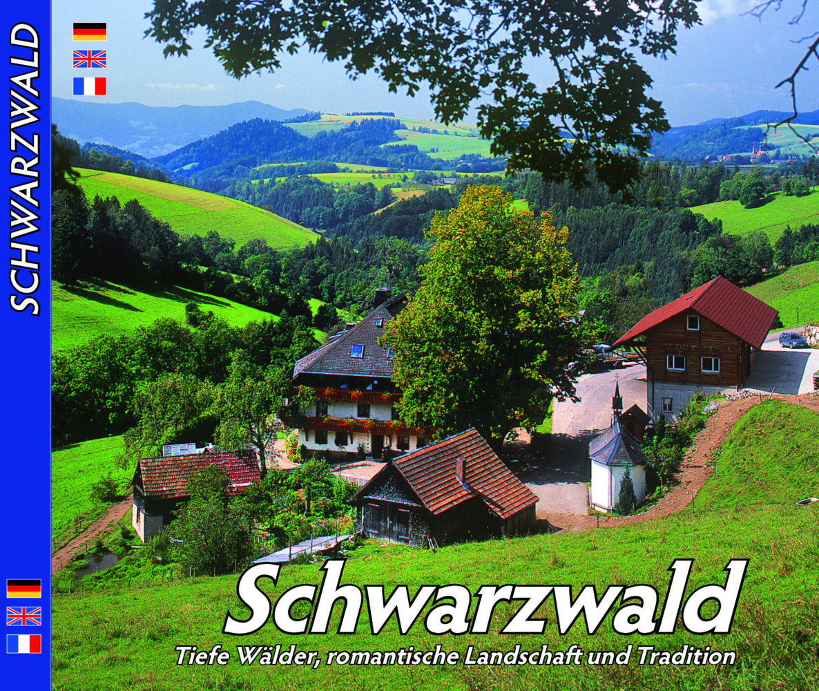 Schwarzwald (Horst Ziethen)