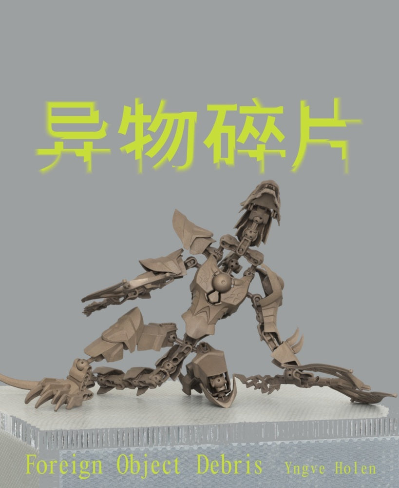Foreign Object Debris (Yngve Holen)