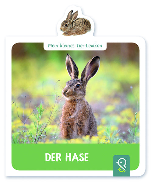 Der Hase (Hannah Kastenhuber)
