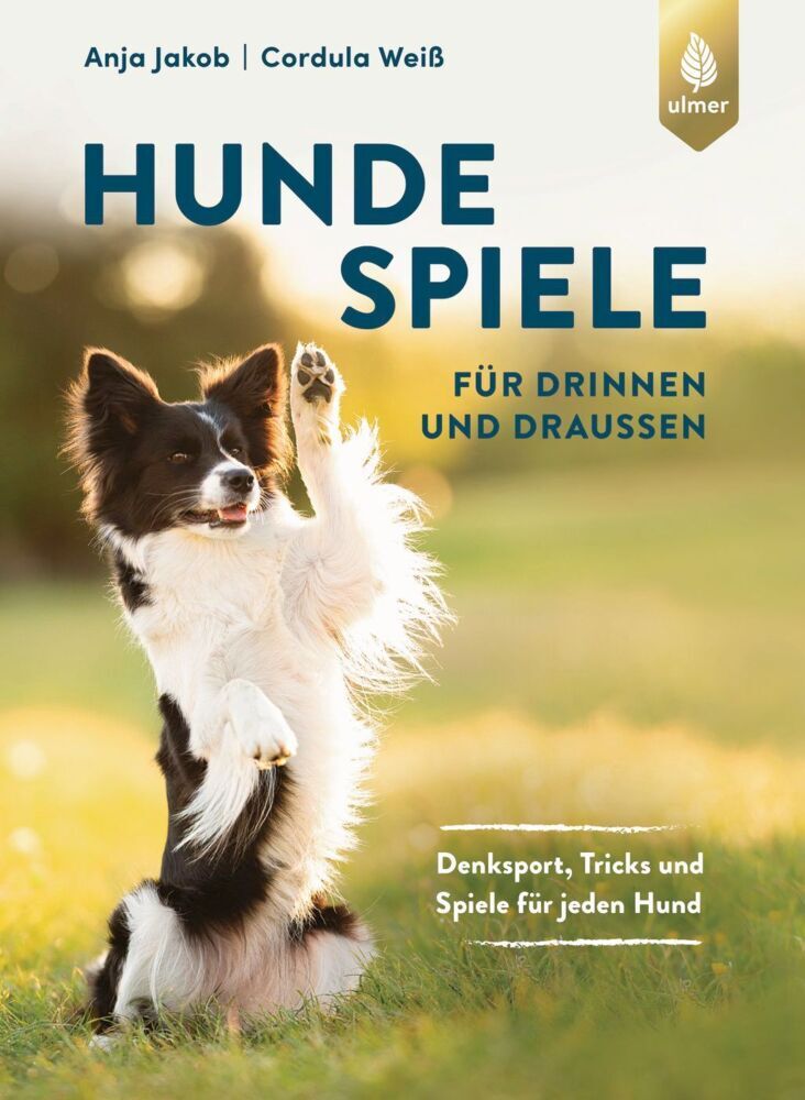 Hundespiele für drinnen und draußen (Anja Jakob)