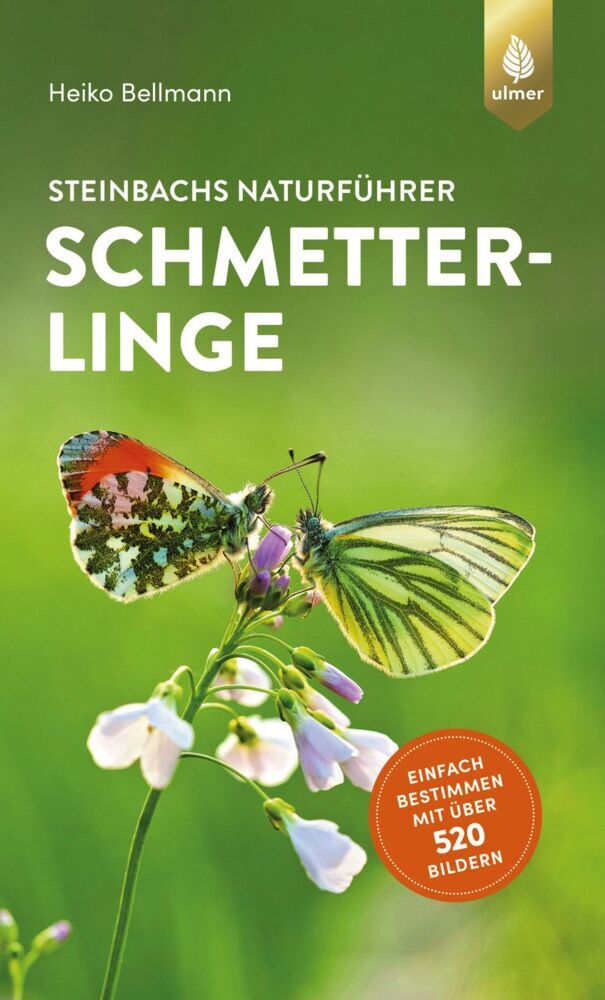 Steinbachs Naturführer Schmetterlinge (Heiko Bellmann)