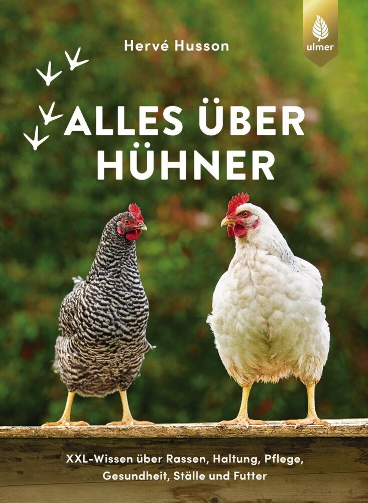 Alles über Hühner (Hervé Husson)