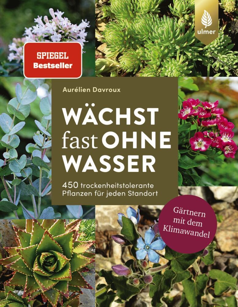 Wächst fast ohne Wasser (Aurélien Davroux)