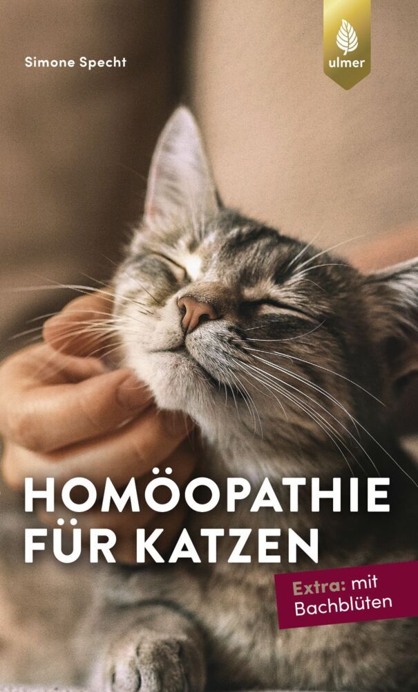 Homöopathie für Katzen (Simone Specht)
