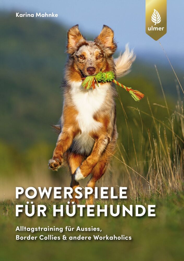 Powerspiele für Hütehunde (Karina Mahnke)