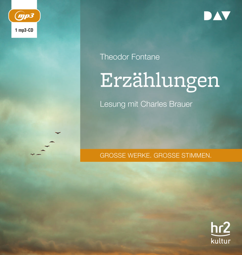 Erzählungen, 1 Audio-CD, 1 MP3 (Theodor Fontane)