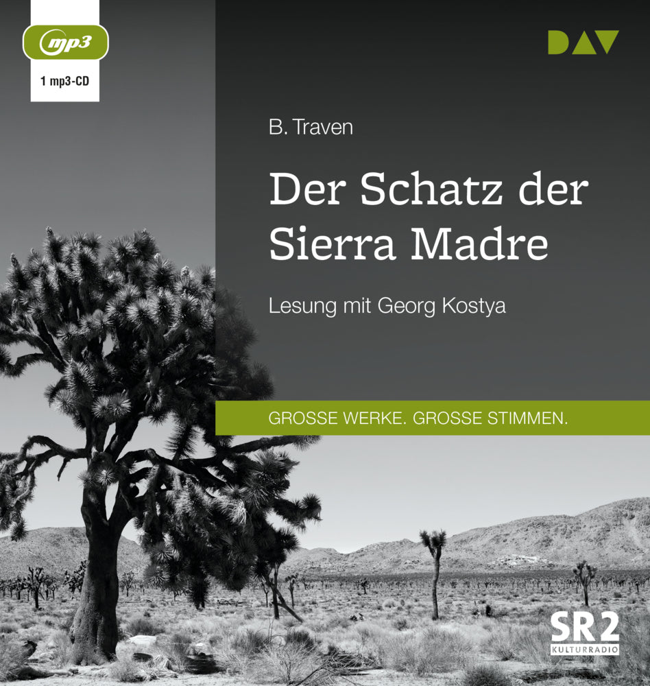 Der Schatz der Sierra Madre, 1 Audio-CD, 1 MP3 (B. Traven)