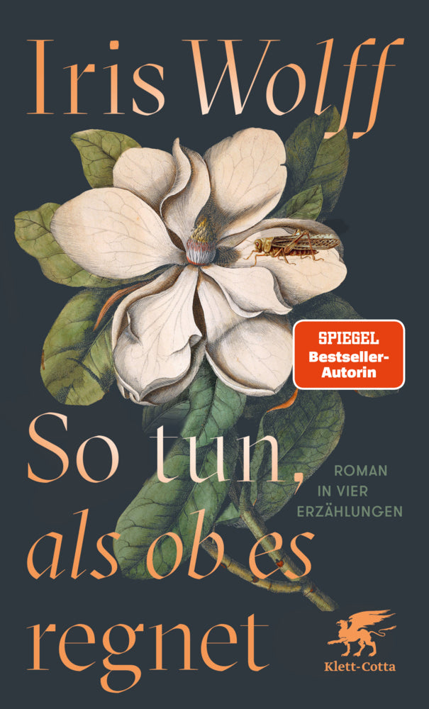 So tun, als ob es regnet (Iris Wolff)