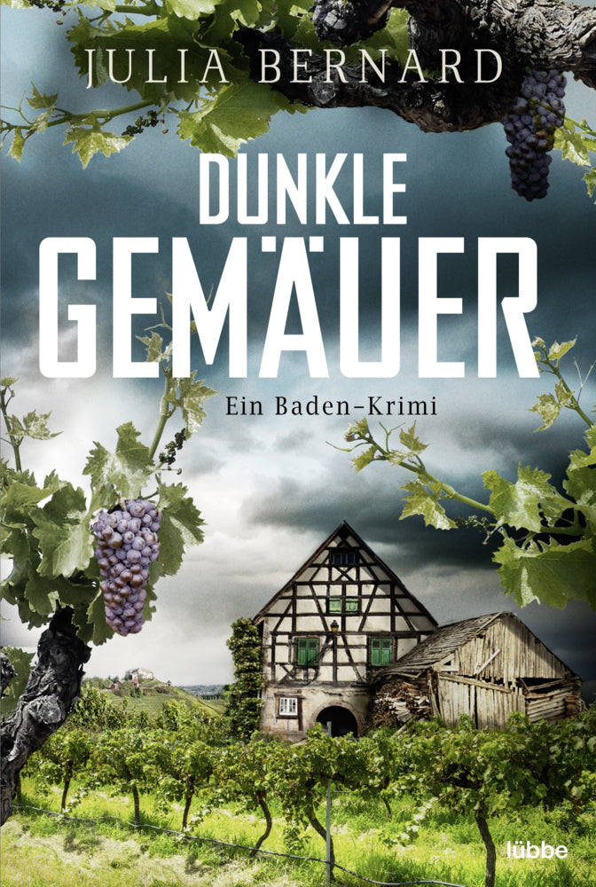 Dunkle Gemäuer (Julia Bernard)