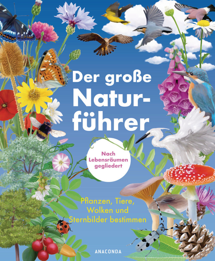 Der große Naturführer. Pflanzen, Tiere, Wolken und Sternbilder bestimmen. Nach Lebensräumen gegliedert (Morgane Peyrot)