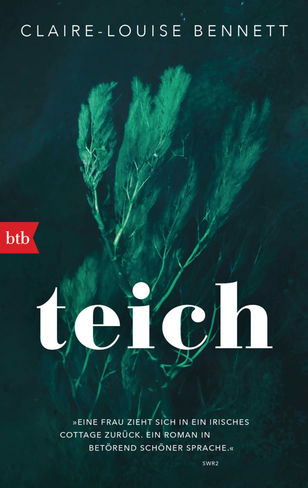 Teich (Claire-Louise Bennett)