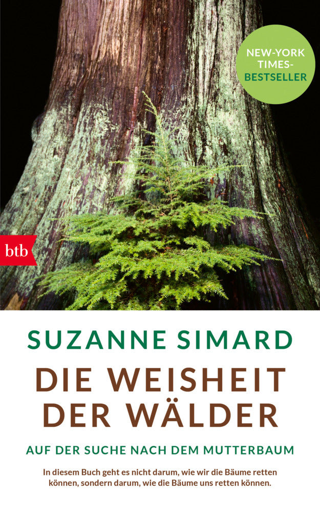 Die Weisheit der Wälder (Suzanne Simard)