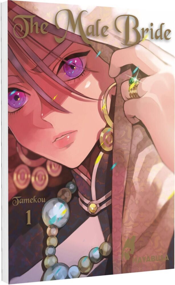 The Male Bride 1 (Tamekou)