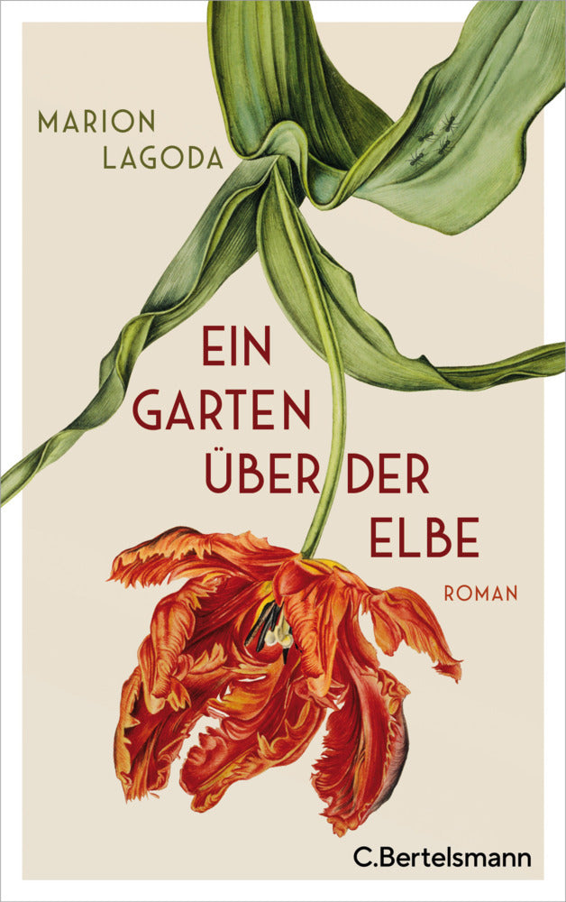 Ein Garten über der Elbe (Marion Lagoda)
