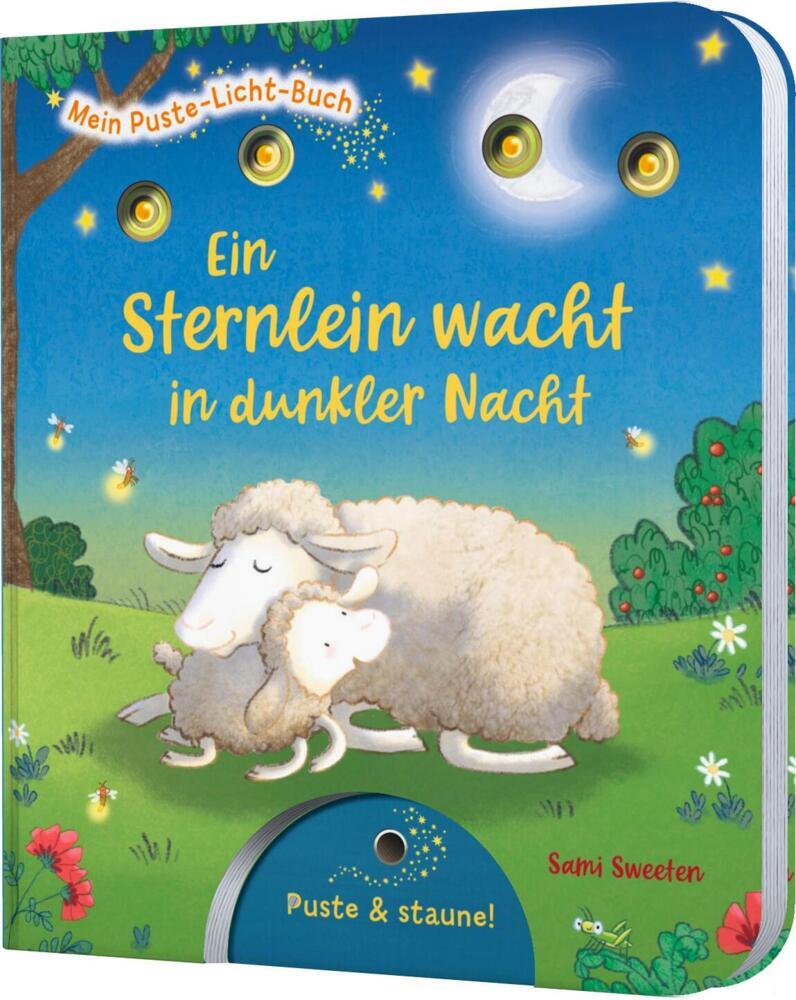 Mein Puste-Licht-Buch: Ein Sternlein wacht in dunkler Nacht (Sylvia Tress)