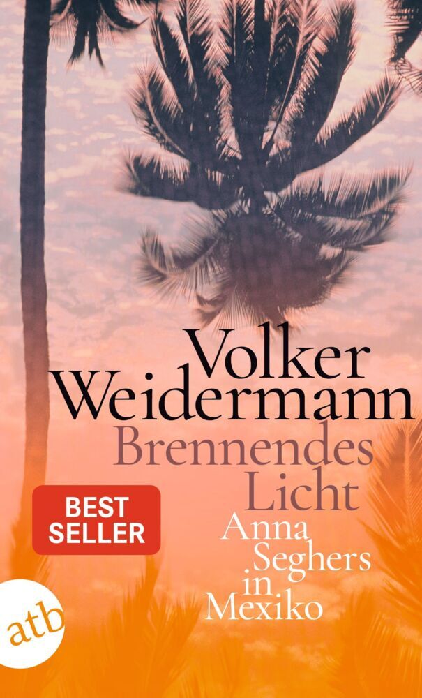 Brennendes Licht (Volker Weidermann)