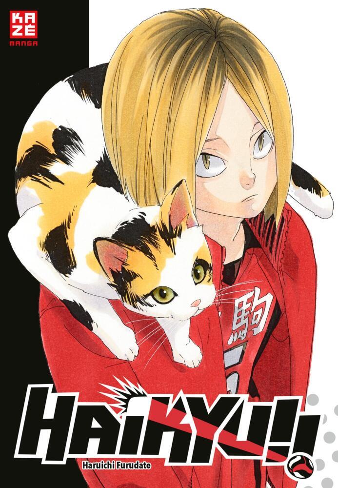 Haikyu!! Sammelbox 3 - Band 21-30 im Schuber (Haruichi Furudate)