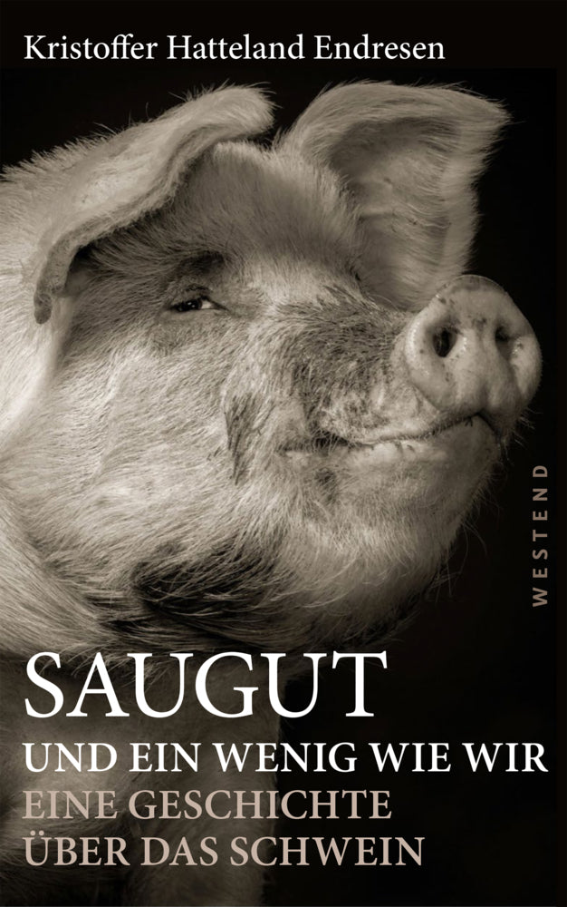Saugut und ein wenig wie wir (Kristoffer Hatteland Endresen)