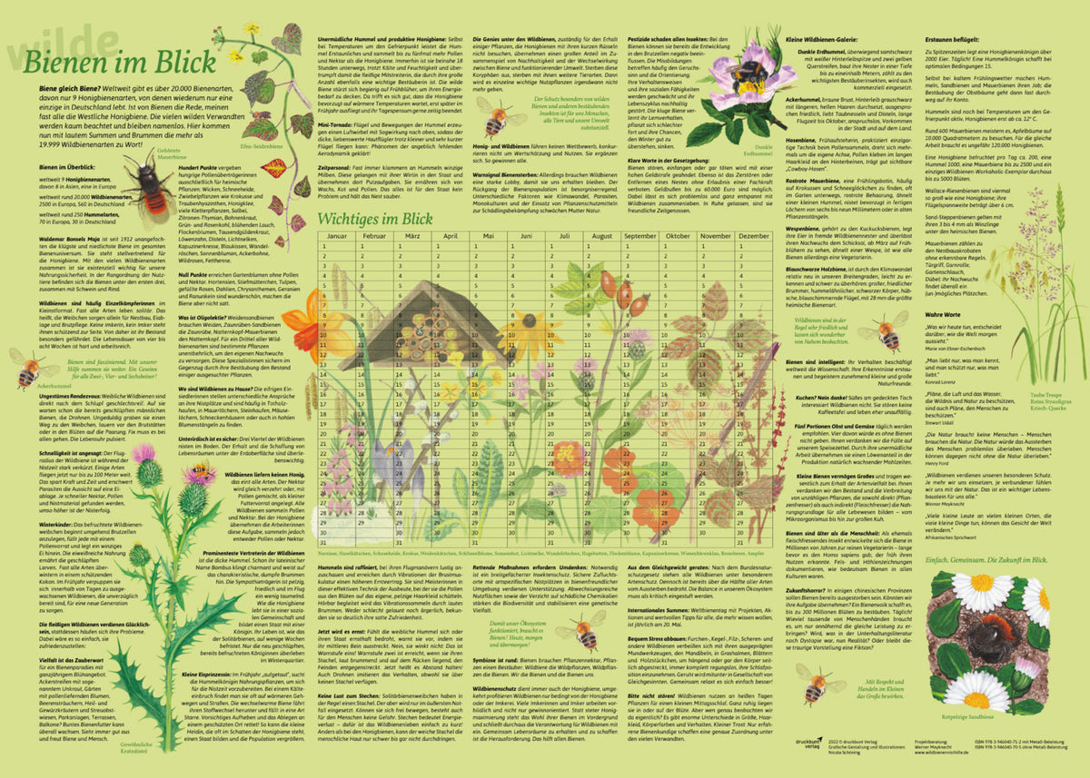 Erlebnisposter "Bienen im Blick" (Doris Schönhoff)