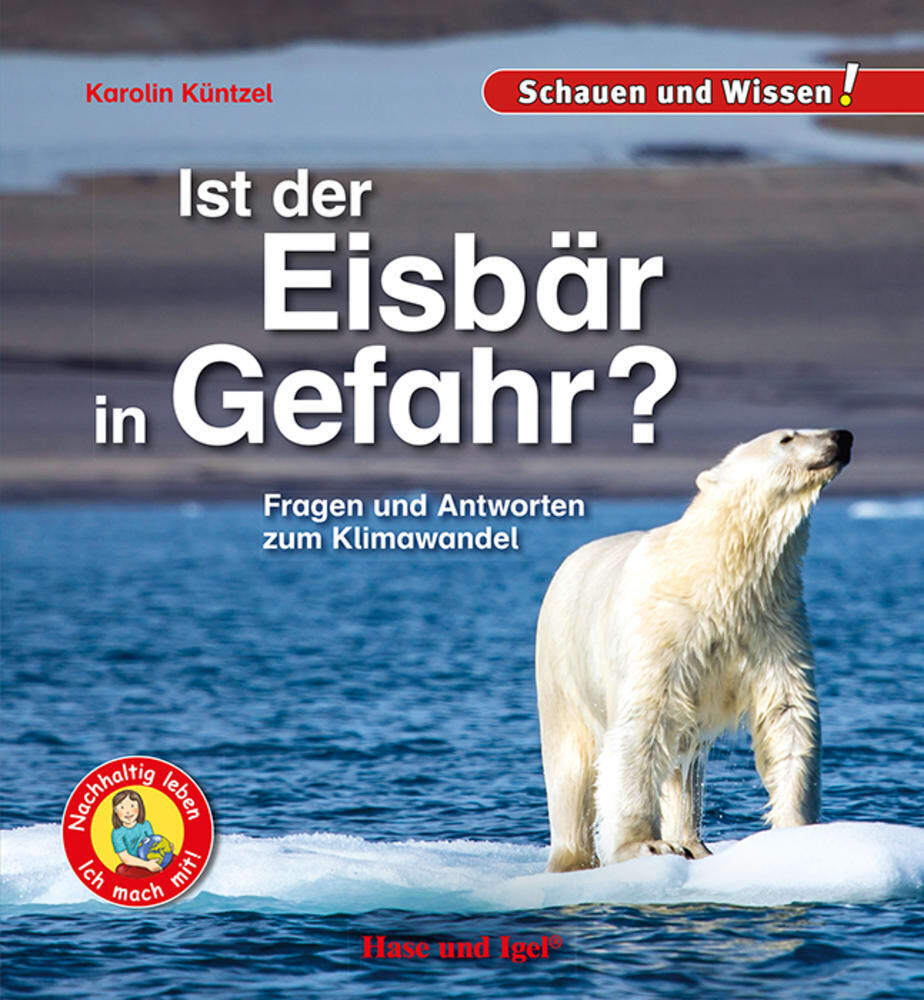 Ist der Eisbär in Gefahr? (Karolin Küntzel)