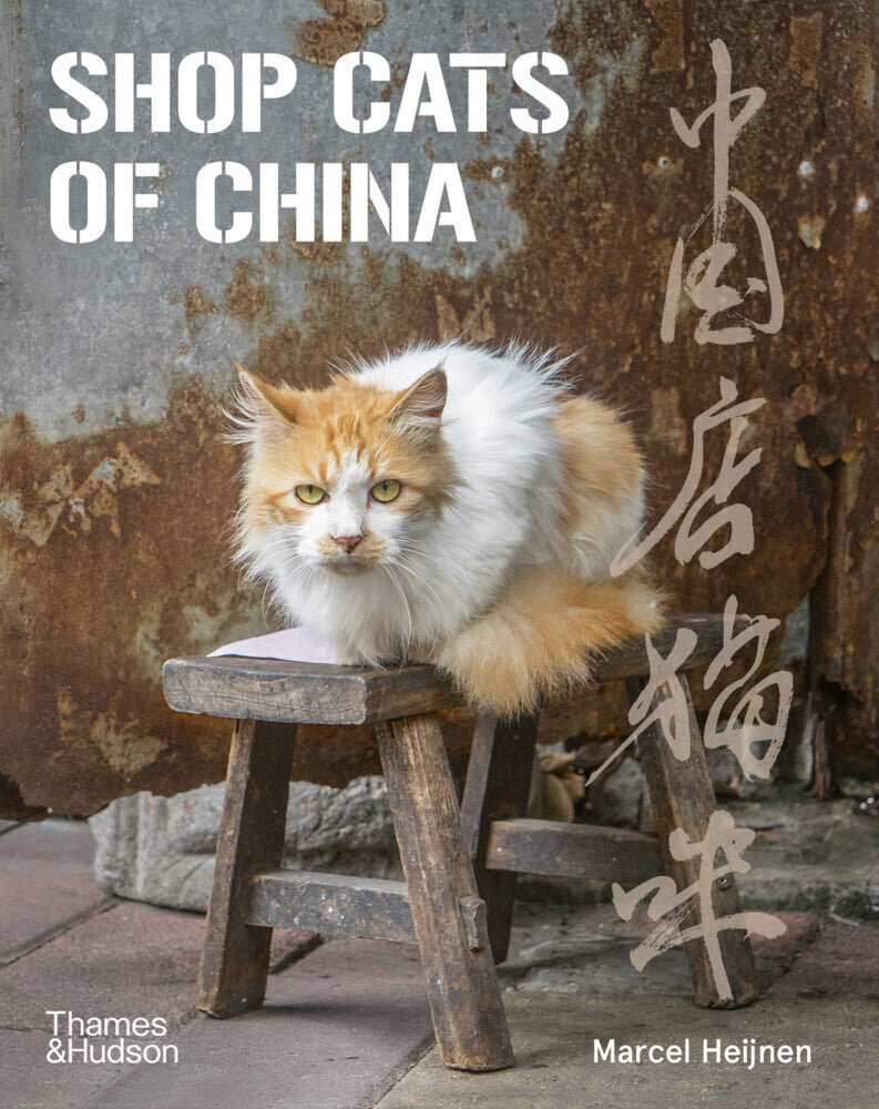 Shop Cats of China (Marcel Heijnen)