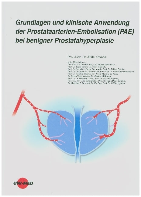 Grundlagen und klinische Anwendung der Prostataarterien-Embolisation (PAE) bei benigner Prostatahyperplasie (Attila Kovács)