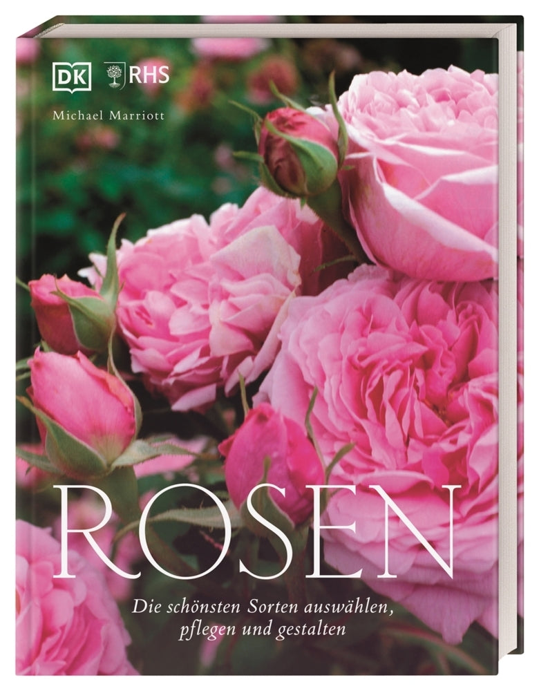 Rosen (Michael Marriott)