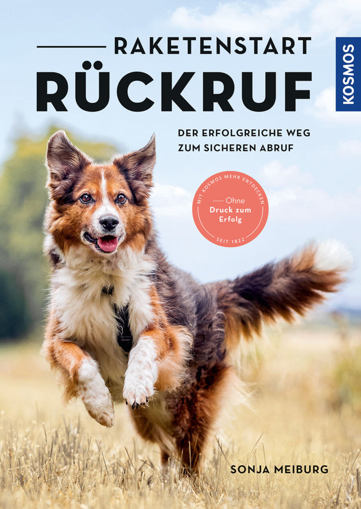 Raketenstart-Rückruf (Sonja Meiburg)