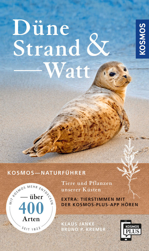 Düne, Strand und Watt (Klaus Janke)
