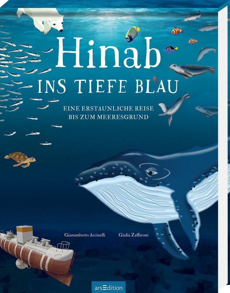 Hinab ins tiefe Blau (Gianumberto Accinelli)