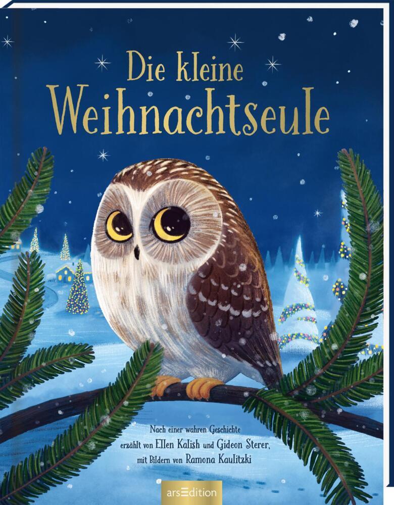 Die kleine Weihnachtseule (Ellen Kalish)