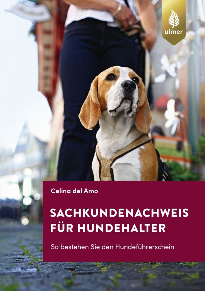Sachkundenachweis für Hundehalter (Celina Del Amo)